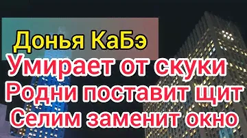 Донья Кабэ заскучала. Хочет торт "Прага". За квартиру не платит. Родни не указ. Селим вставит окно.